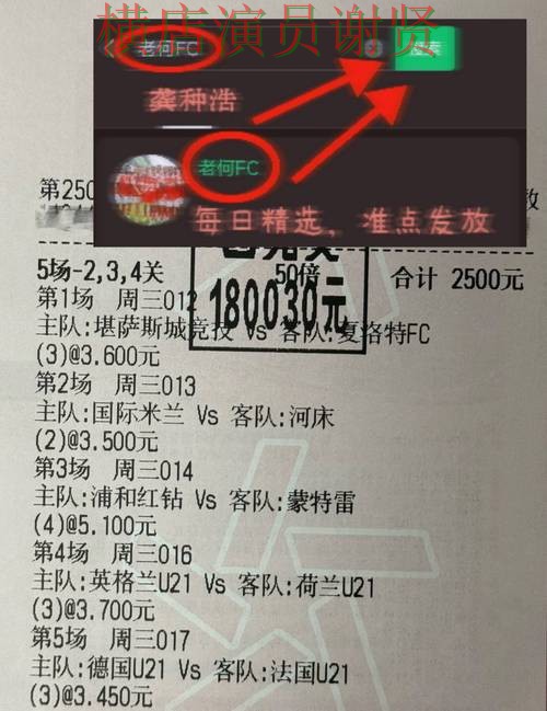 世界杯投注下载活动信息怎么看更明白